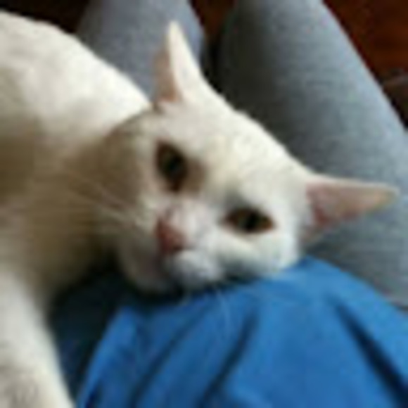 Meet your Posher, Jacqueline - Picture 1 of 1